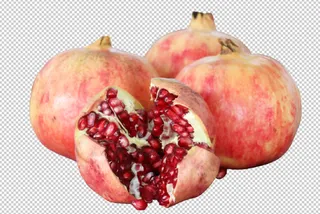石榴免扣素材