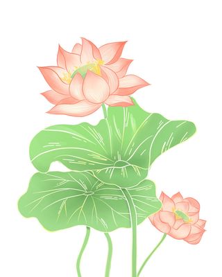 国潮中国风手绘荷花莲花荷叶莲藕植物花卉装饰插画PSD设计素材