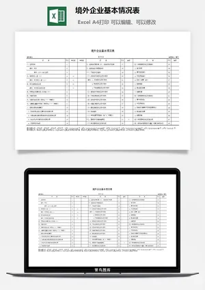 *企业基本情况表excel模板预览图