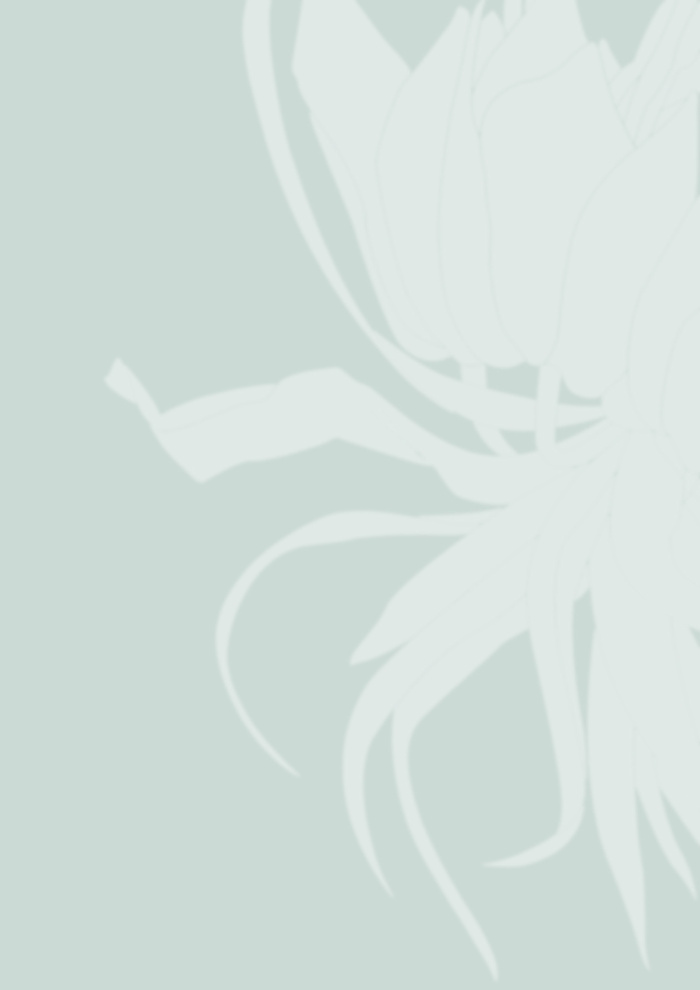 蓝白剪影画册背景图