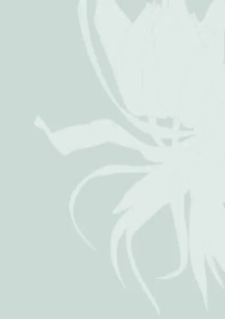 蓝白剪影画册背景图