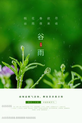 谷雨海报二十四节气谷雨广告