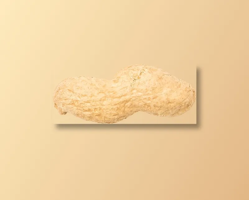 双粒花生高清免扣
