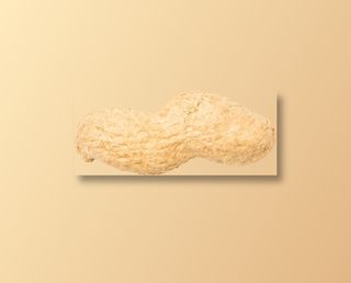 双粒花生高清免扣