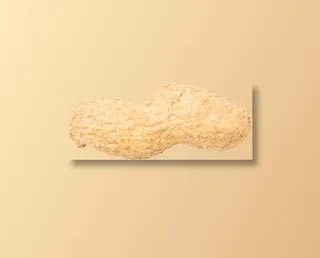 双粒花生高清免扣