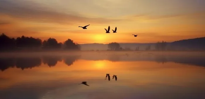 夕阳湖面倒影风光背景(1584x768)