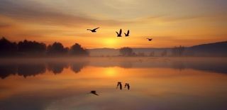 夕阳湖面倒影风光背景