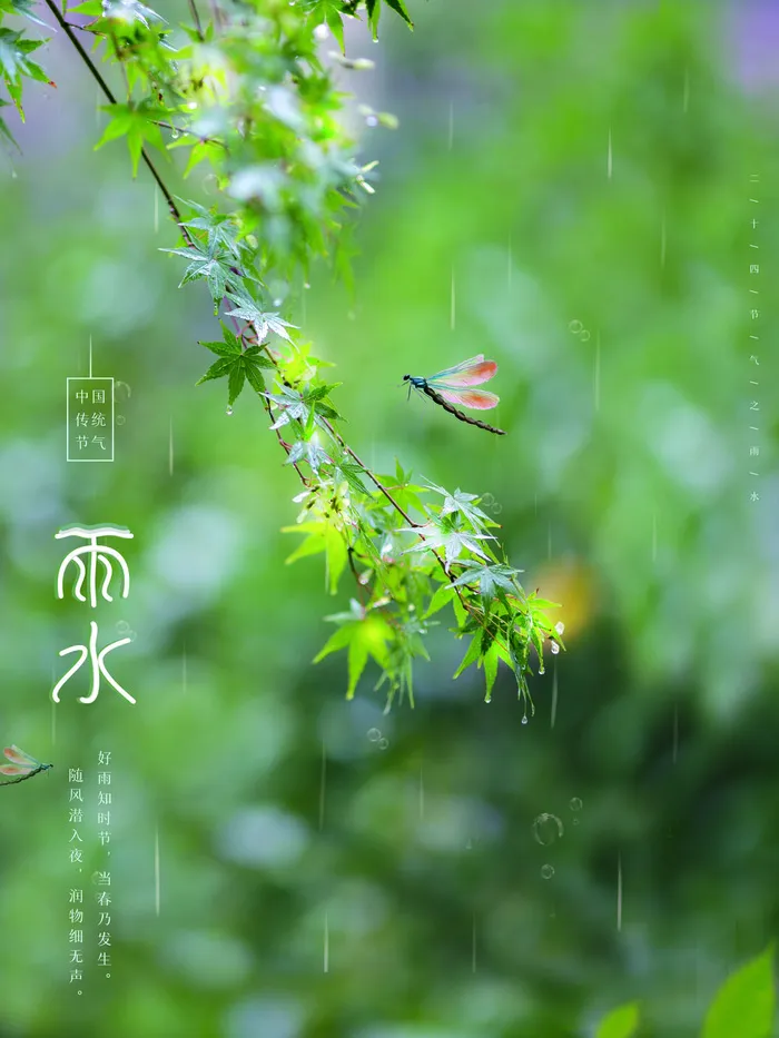创意24节日二十四节气雨水春节春天宣传祝福海报模板PSD设计素材psd模版下载