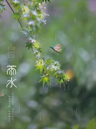 创意24节日二十四节气雨水春节春天宣传祝福海报模板PSD设计素材