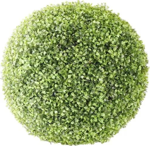 布什 PNG免抠(550x537)