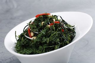 LCSC2801松仁沙皮菜