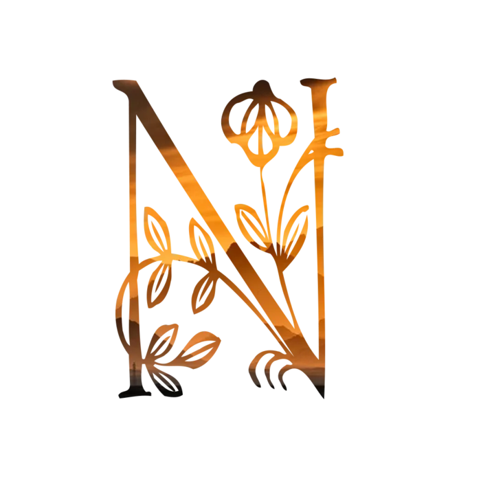 字母N金黄色插画海报