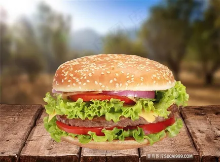 又香又好吃的汉堡 又香又好吃的汉堡