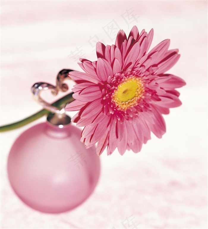 清新的鲜花图片