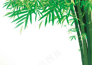 免抠实物竹子摄影图透明图层