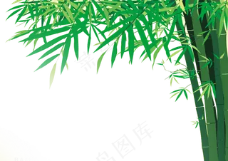 免抠实物竹子摄影图透明图层