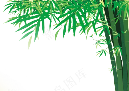 免抠实物竹子摄影图透明图层 免抠实物竹子摄影图透明图层