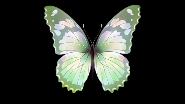 蝴蝶, 拍打翅膀, 移动, 漂亮, 绿色