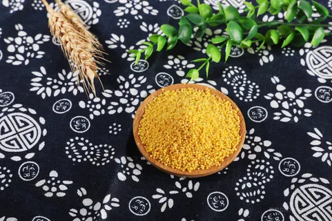 小黄米摄影图片