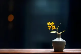 花瓶黄色花朵古典背景1