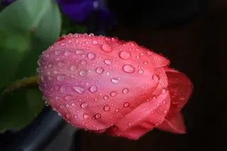 黑色情人节素材背景图片