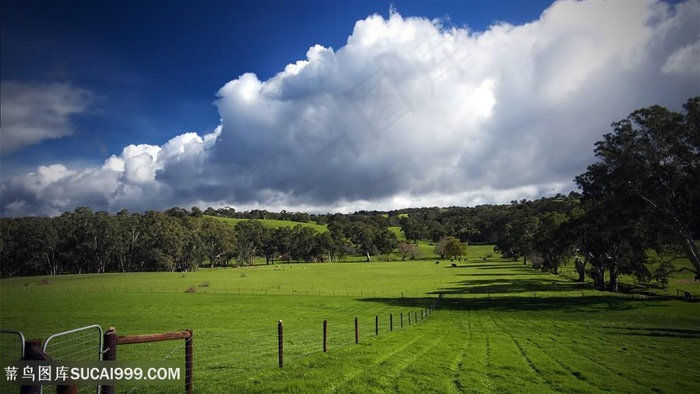 蓝天白云草地风景画壁纸