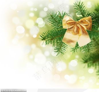 漂亮的圣诞松枝装饰圣诞节装饰