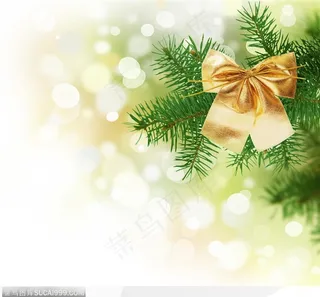 漂亮的圣诞松枝装饰圣诞节装饰
