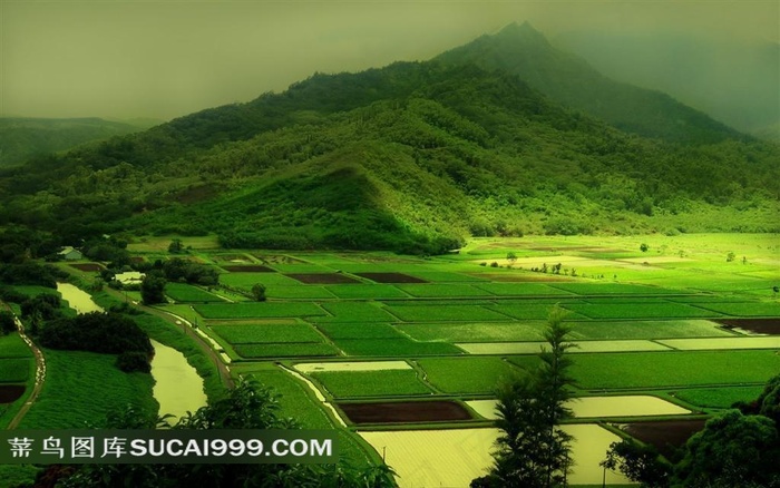 绿色田园风景