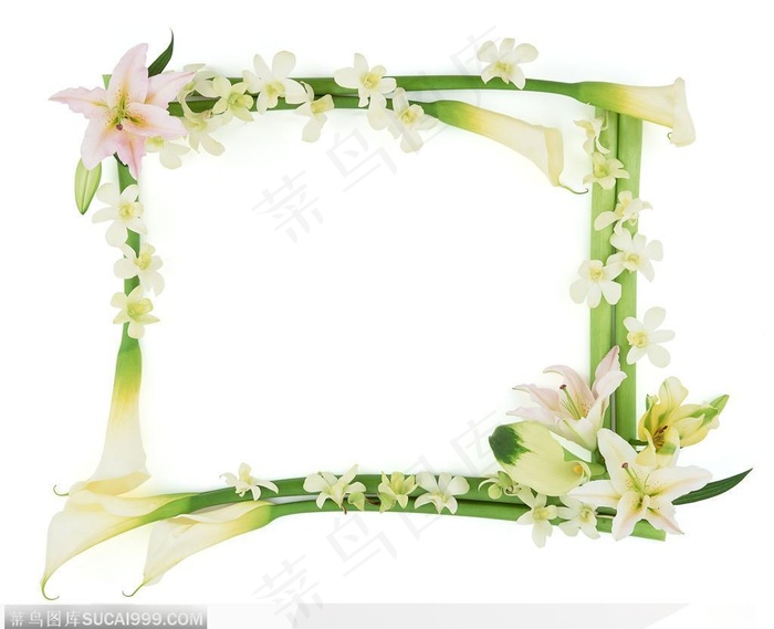 相框边框-百合花相框