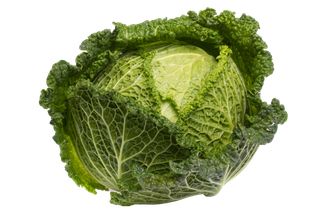 大白菜 (2)超市商品白底图免抠实物摄影png格式图片透明底