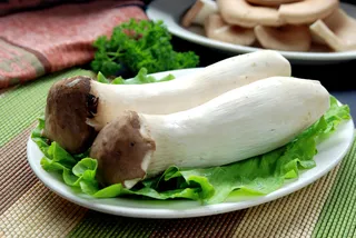 蘑菇香菇金针菇杂菇菌类美食素菜