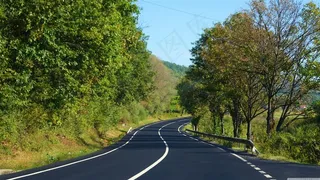 唯美夏日植物围绕公路