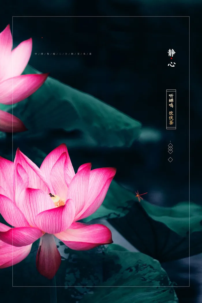 大暑海报节气素材psd模版下载