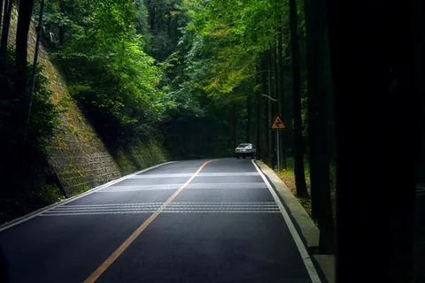 高清森林公路图片下载 高清森林公路图片下载