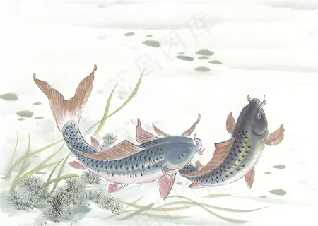 国画鱼虾蟹龟系列jpg素材