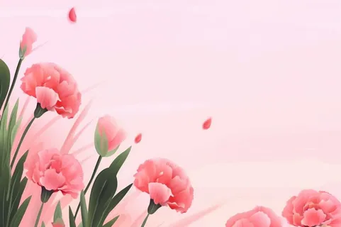 简约粉色康乃馨插画背景
