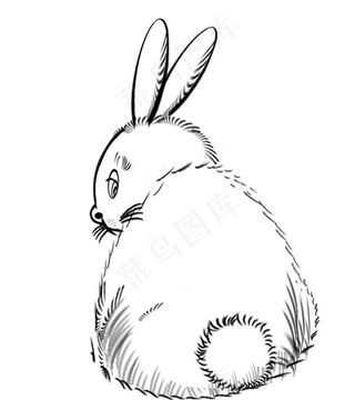 手绘免子图片下载