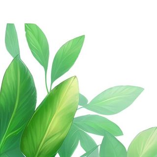 春天绿叶草丛免抠