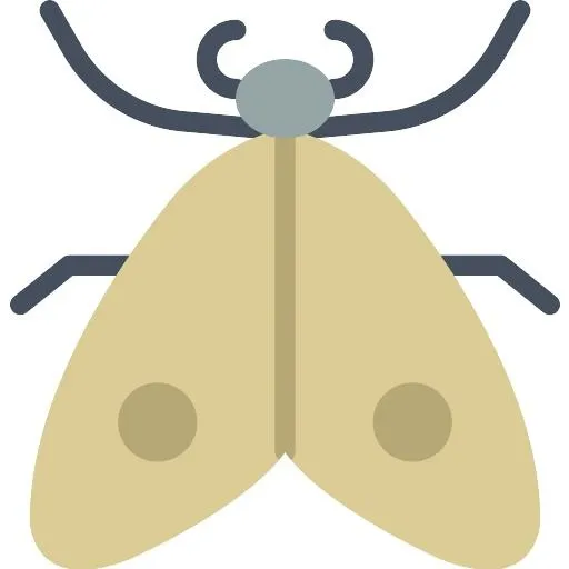 飞蛾免抠(512x512)