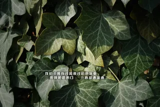 励志的句子致自己简短