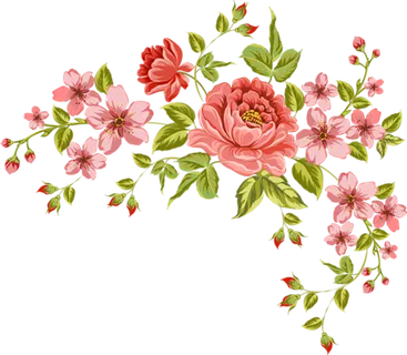 牡丹花植物卡通素材谷雨