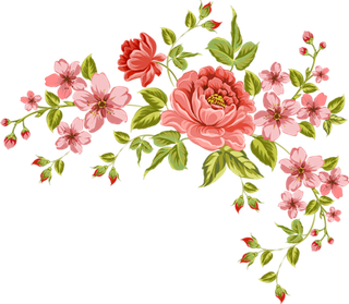 牡丹花植物卡通素材谷雨