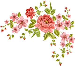 牡丹花植物卡通素材谷雨