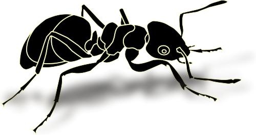 蚂蚁 PNG免抠(500x265)