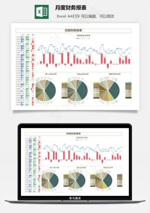 月度财务报表