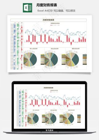 月度财务报表