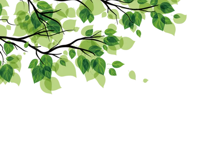 绿色手绘植物树叶春天插画清新元素
