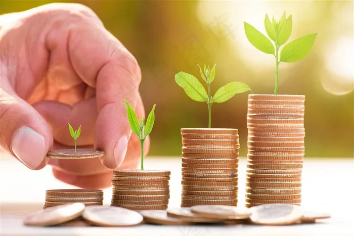 码放整齐的金币上生长的植物高清图片