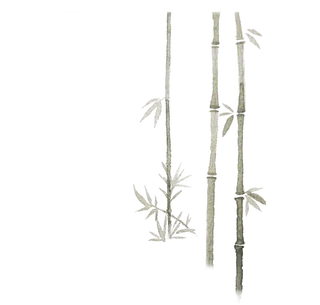 竹子水墨画中国风国画墨水书法竹子画